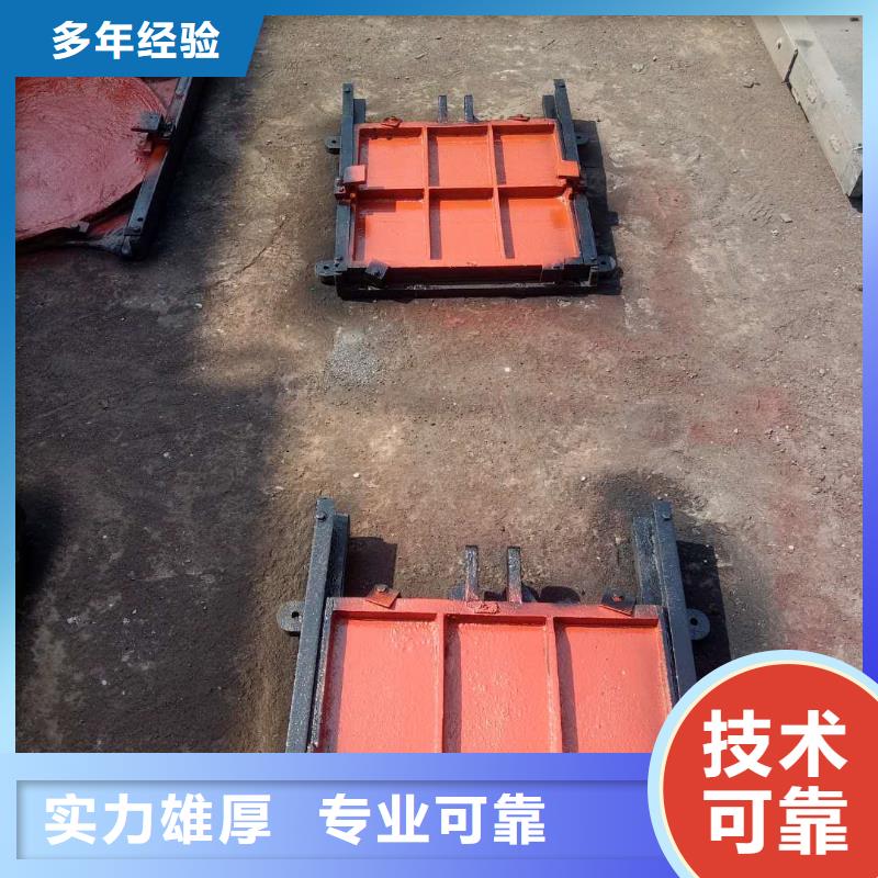 启闭机闸门-方形钢制闸门自动化