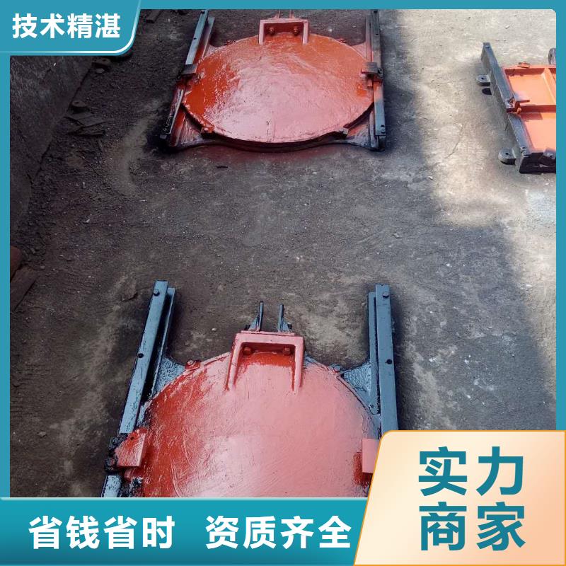 渠道闸门-镶铜双向铸铁闸门创新