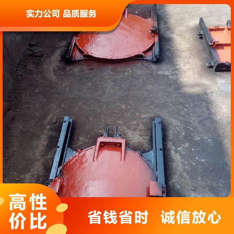 铸铁镶铜闸门-水利闸门启闭机技术领先