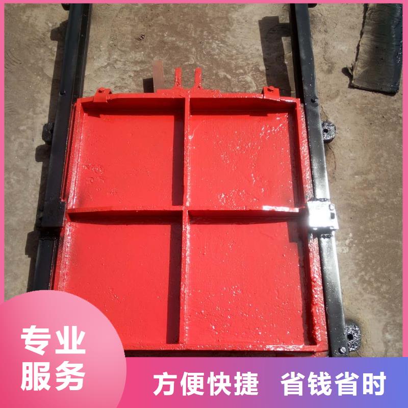 铸铁闸门-平板铸铁镶铜闸门口碑极佳