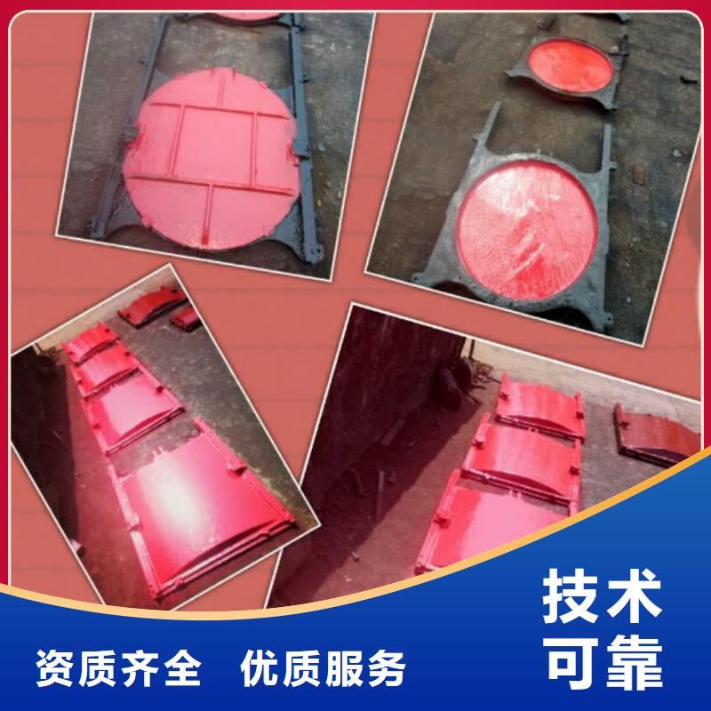 启闭机闸门-铸铁镶铜附壁闸门精益求精