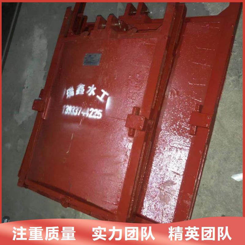 巴青县机门一体铸铁闸门按需定制