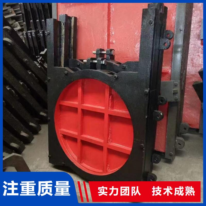 闸门启闭机-平板铸铁镶铜闸门终身维护