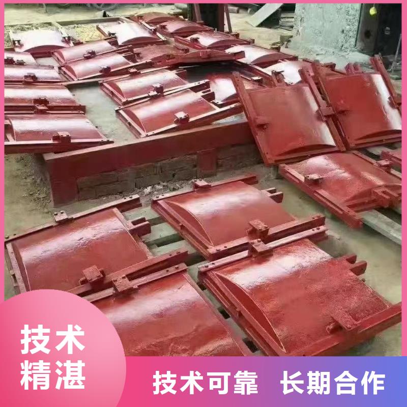 铸铁镶铜闸门-水利闸门启闭机技术领先