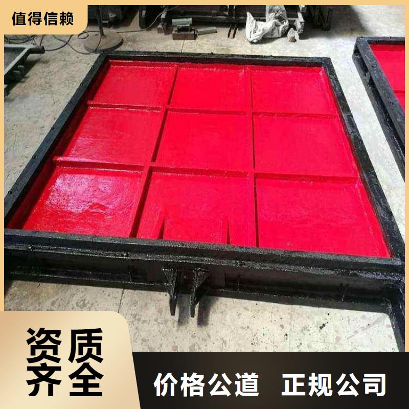 铸铁镶铜闸门[生产厂家销售价格]实力老厂