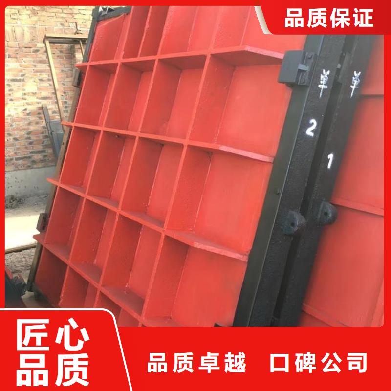 渠道闸门源头好货