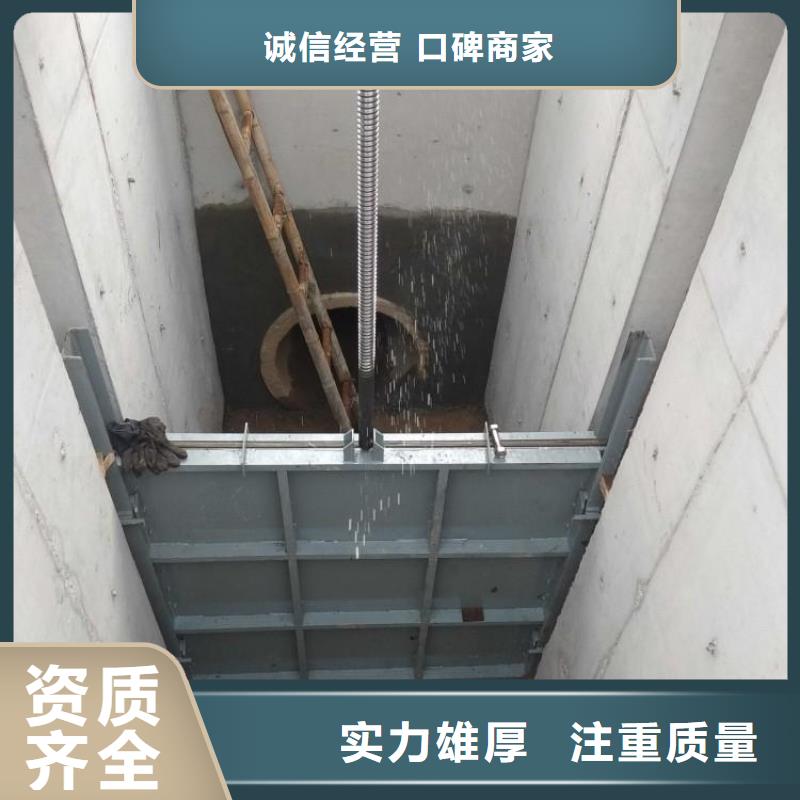 平面铸铁闸门_水电站启闭机闸门-厂家报价