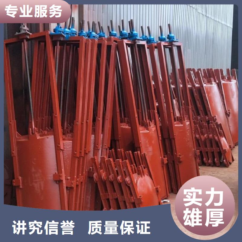 闸门启闭机-平板铸铁镶铜闸门终身维护