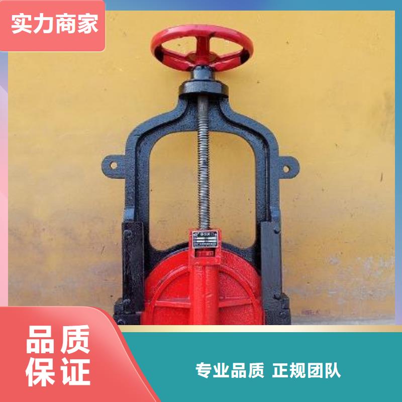 启闭机闸门-止水带橡胶技术领先