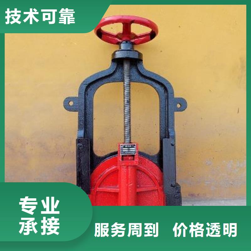 机门一体铸铁闸门优选企业
