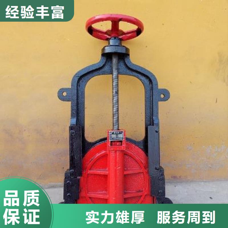 河道铸铁闸门企业-实力雄厚