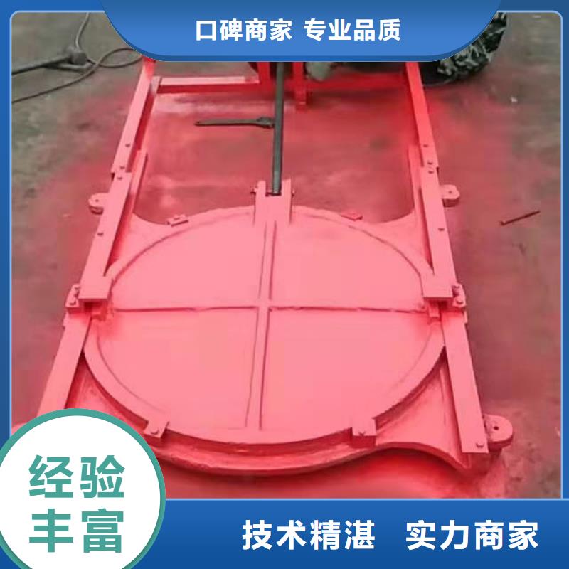 平面铸铁闸门_水电站启闭机闸门-厂家报价
