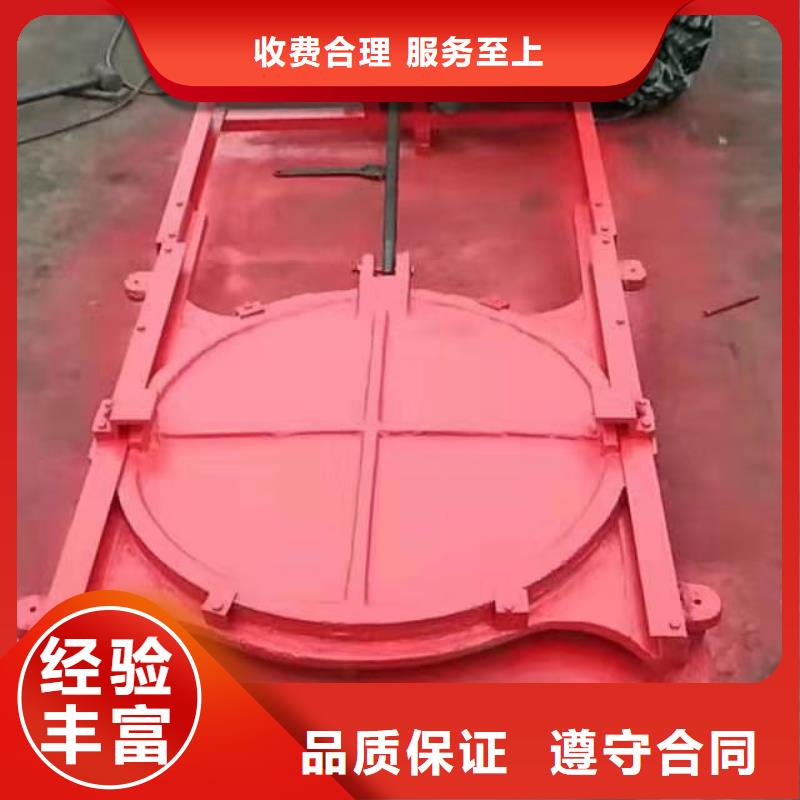 启闭机闸门厂家数十年行业经验