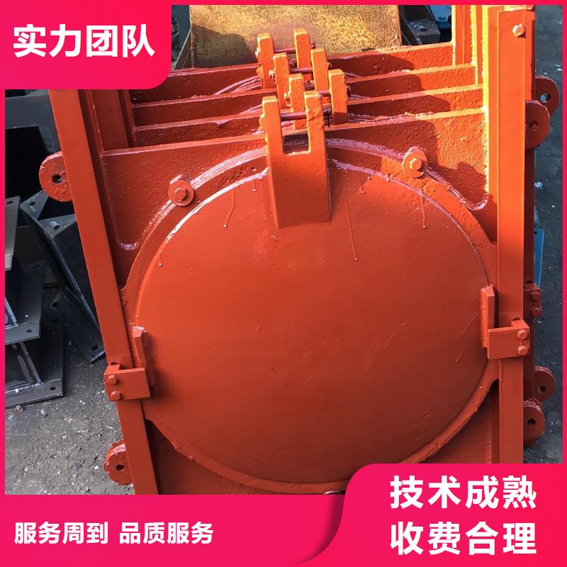 铸铁镶铜闸门-PZ双向止水铸铁镶铜闸门老品牌