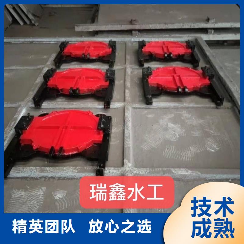 600*600双向止水铸铁闸门