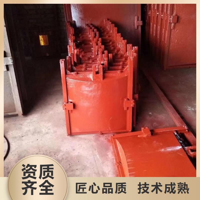 水电站闸门_铸铁双向止水闸门[生产厂家价格]