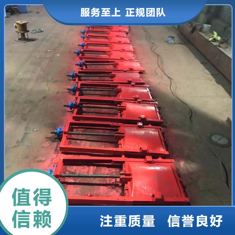 启闭机闸门-铸铁单向止水闸门值得信赖