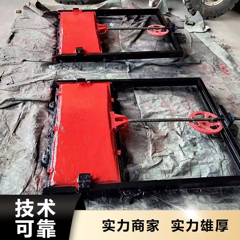 铸铁镶铜园闸门