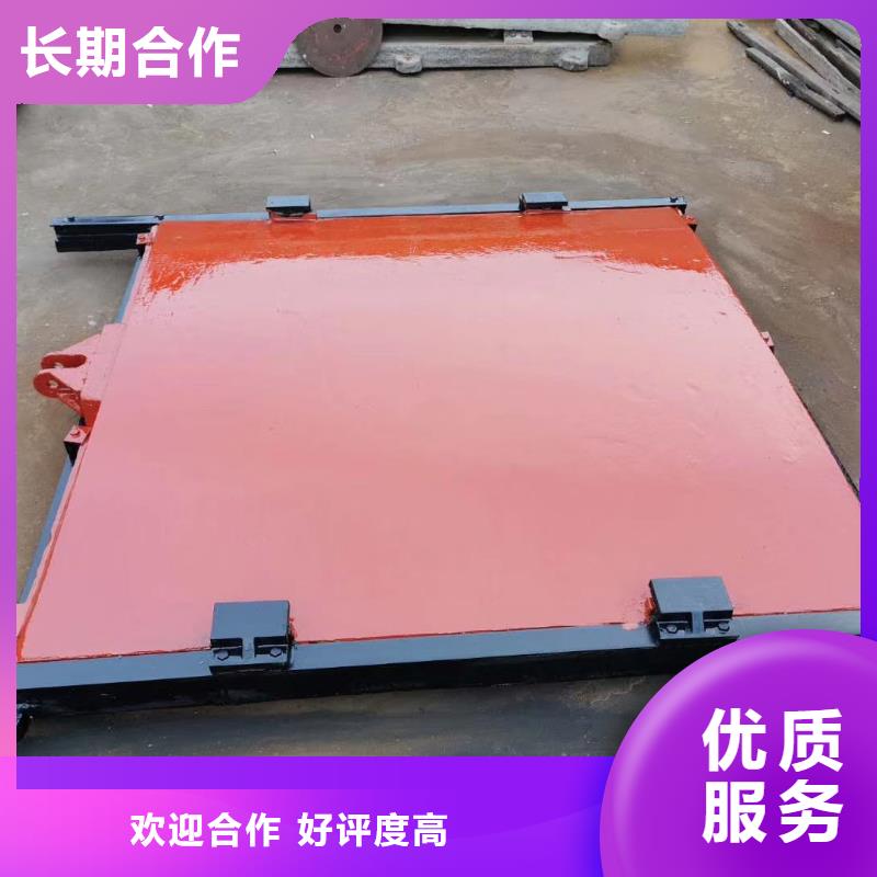 铸铁闸门_景观铸铁闸门[价格厂家]