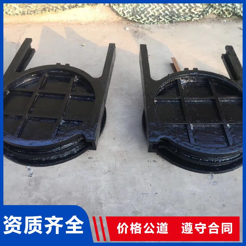 铸铁镶铜闸门[生产厂家销售价格]实力老厂