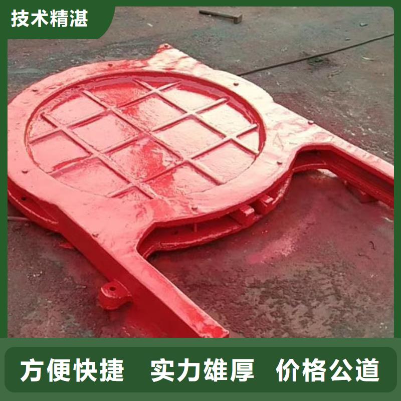 铸铁镶铜闸门-铸铁镶铜附壁闸门实力雄厚