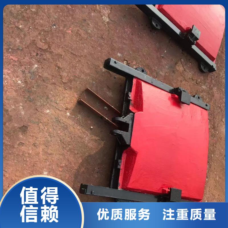 铸铁镶铜闸门-铸铁镶铜附壁闸门实力雄厚