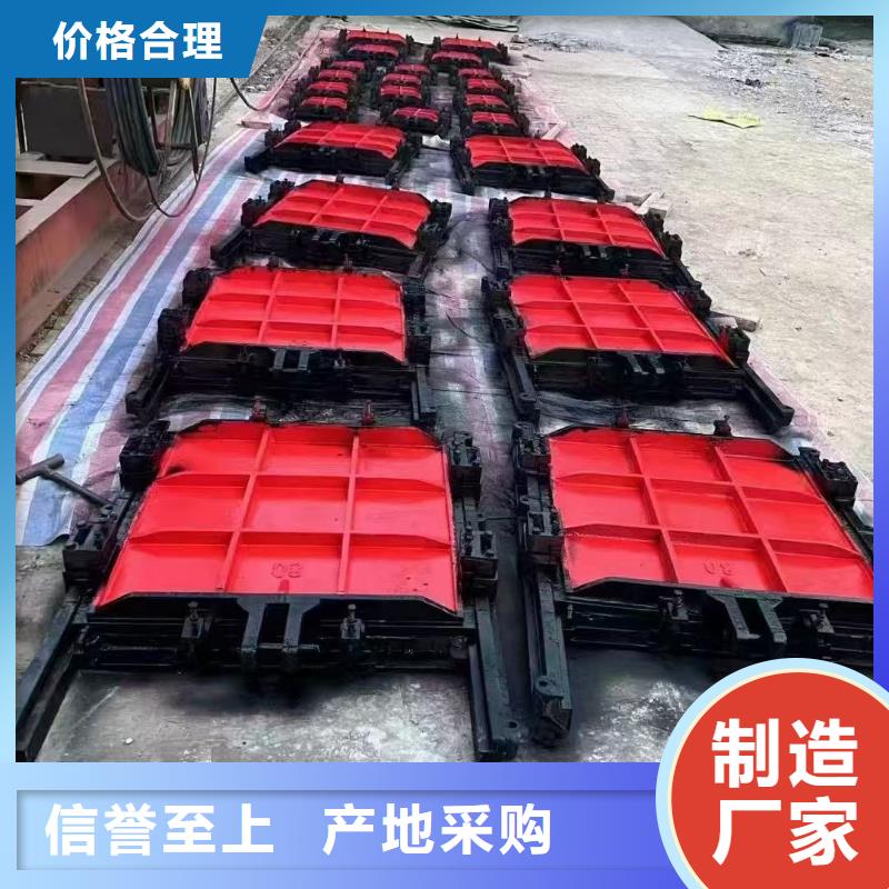 平面拱形闸门-螺杆式闸门启闭机老品牌
