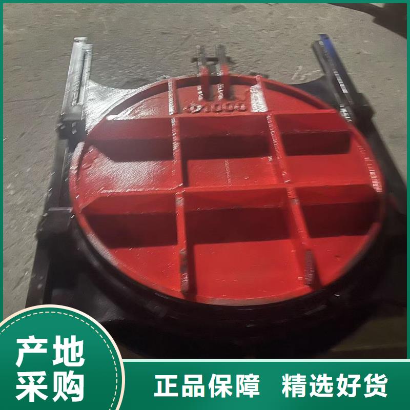 会泽县平面拱形闸门货源