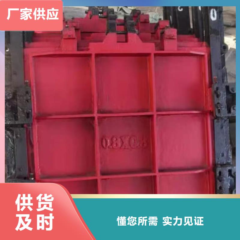 铸铁镶铜闸门_农田专用闸门[价格厂家]