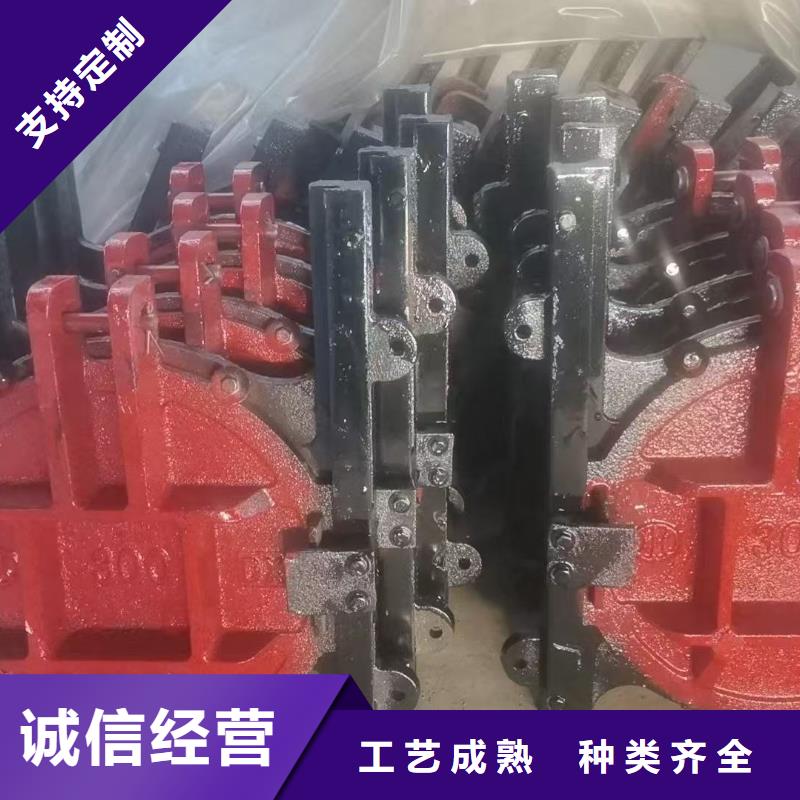 单向止水钢闸门