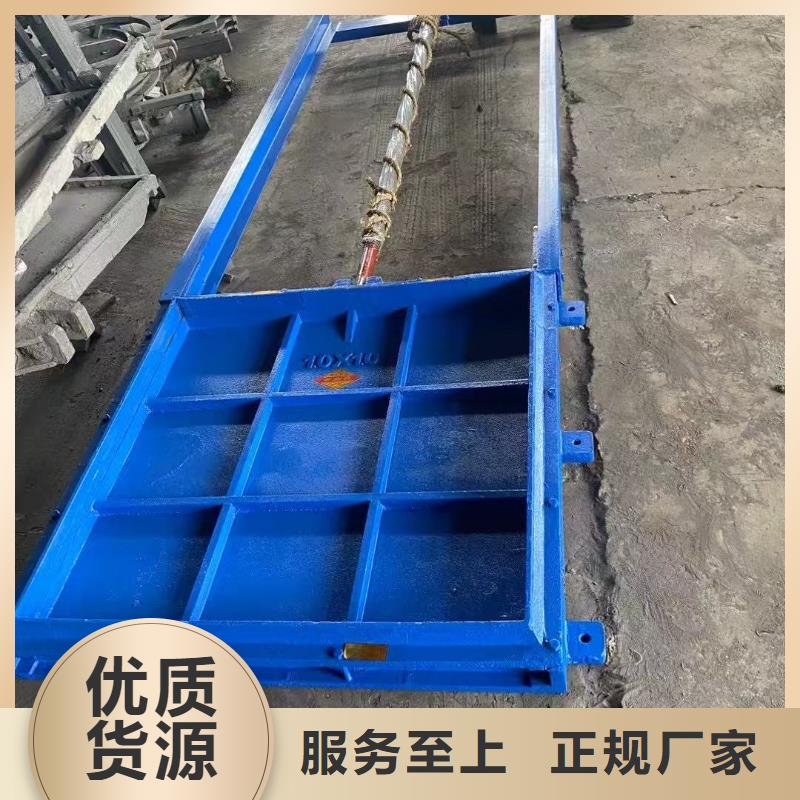 软密封闸门水利闸门