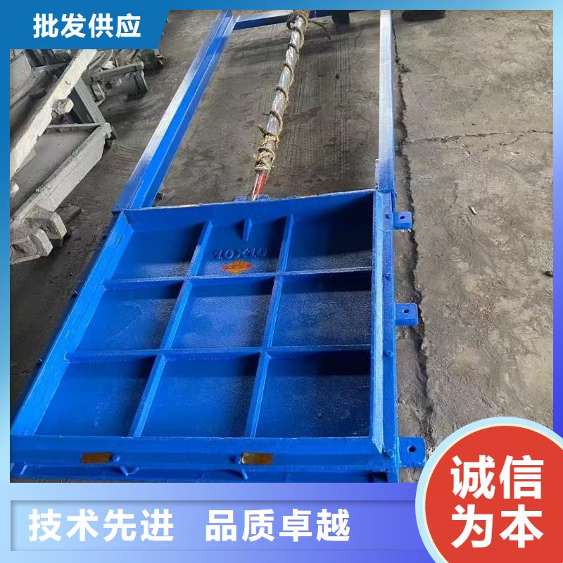 平面拱形闸门-闸门与启闭机经久耐用