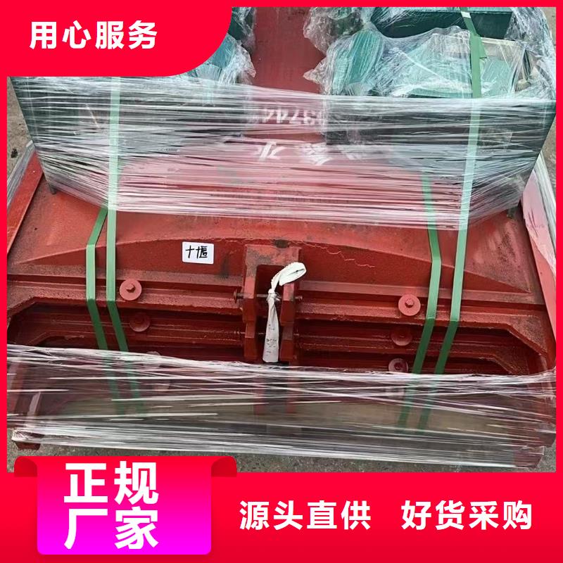 渠道闸门-双向止水铸铁镶铜闸门品质卓越