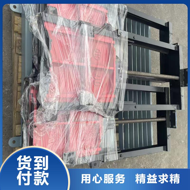 闸门启闭机-PZ机闸一体式铸铁闸门经验丰富