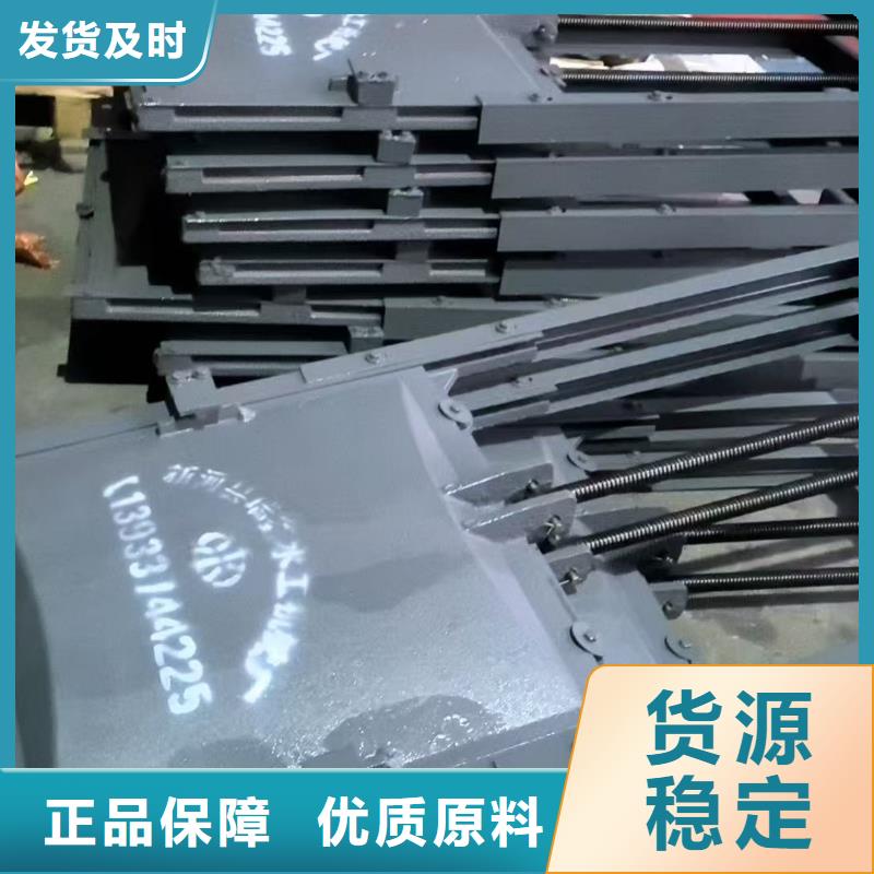 600*600铸铁镶铜闸门