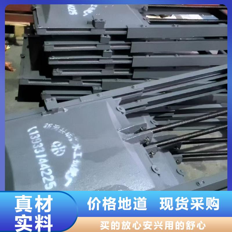 启闭机闸门-PZ双向止水铸铁镶铜闸门售后无忧