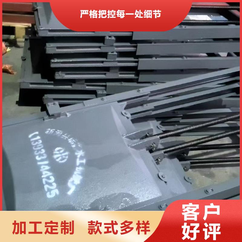 芦淞区排灌渠铸铁闸门