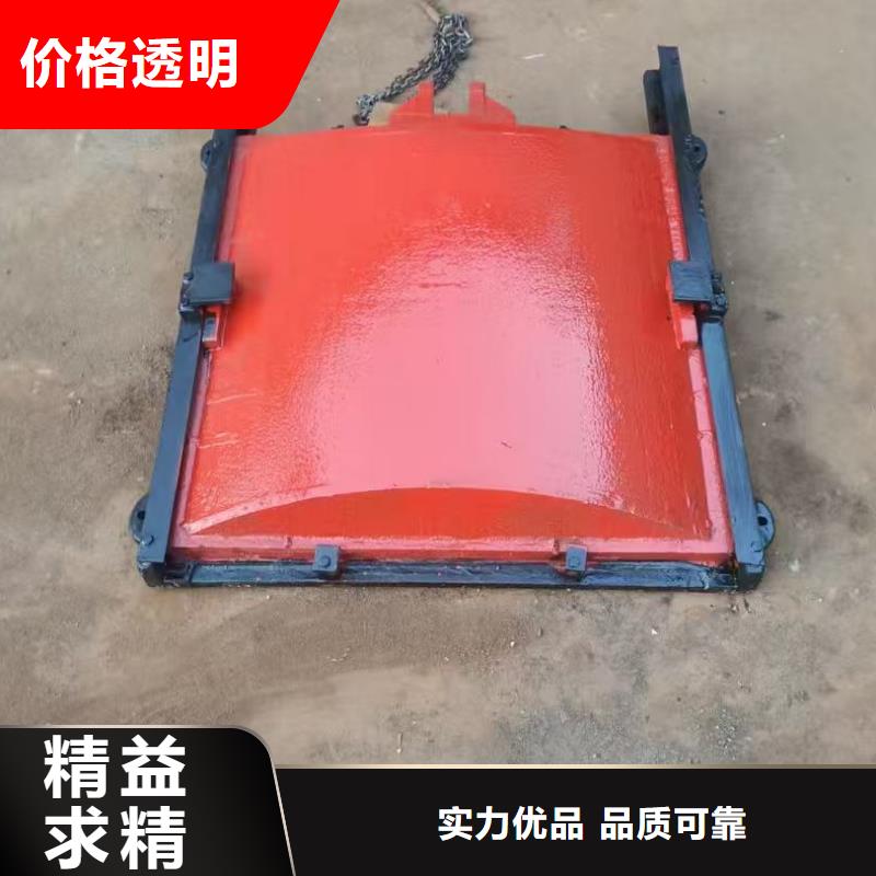 一体铸铁闸门[厂家销售]