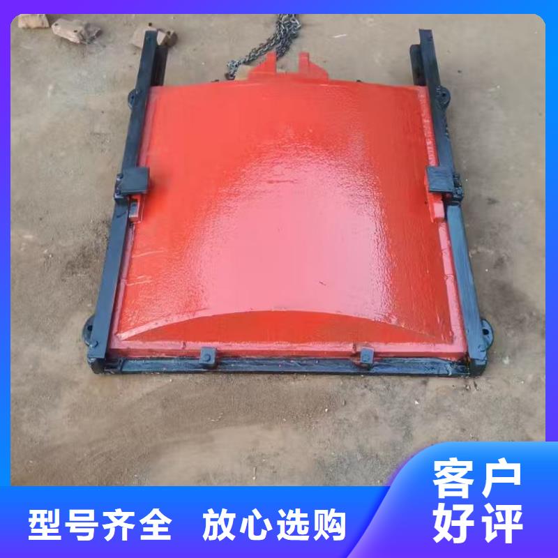 暗杆式铸铁镶铜闸门[厂家销售]