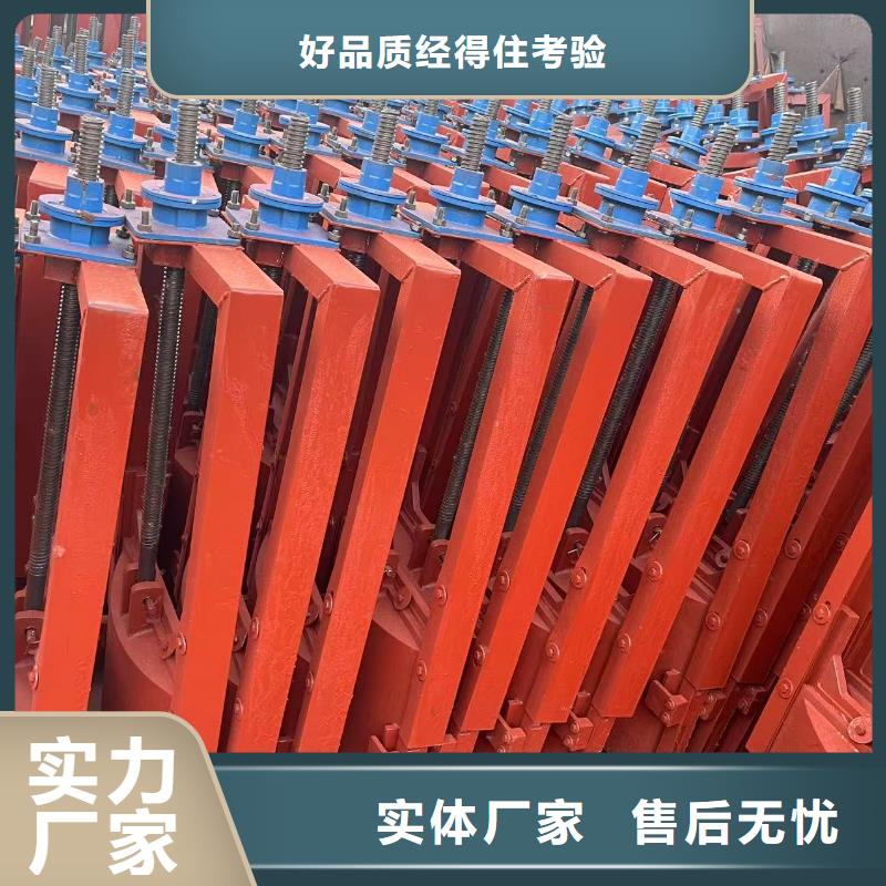 河道铸铁闸门-pz平板平面铸铁闸门信誉良好
