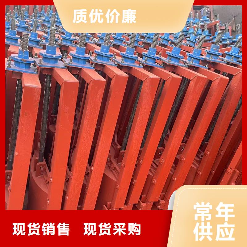 手提铸铁闸门铸铁双向止水闸门-价格多少