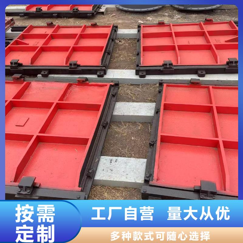 启闭机闸门-农田灌溉渠道闸门自动化