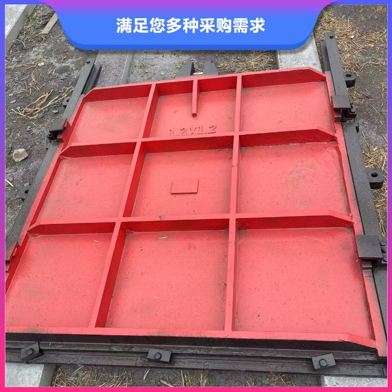 镶铜铸铁闸门性价比高