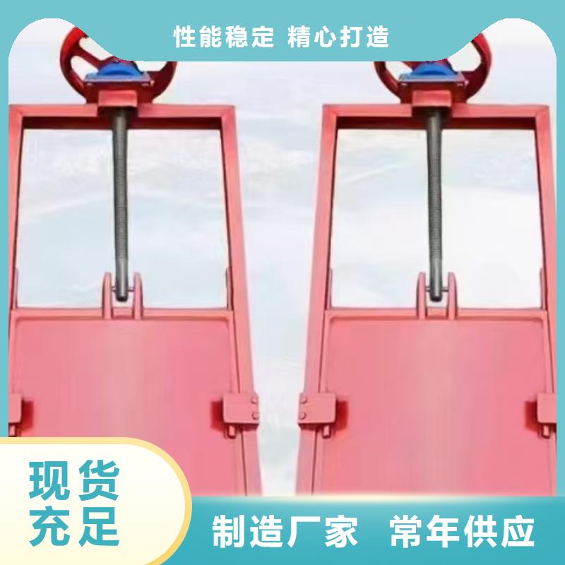 铸铁闸门[供应商价格]