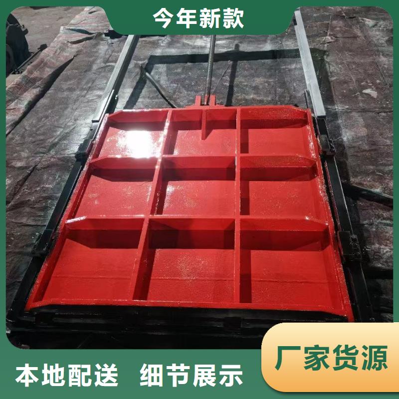 污水处理闸门铸铁双向止水闸门-供应商价格
