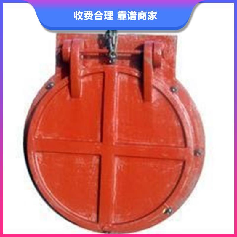 服务周到的钢制拍门生产厂家