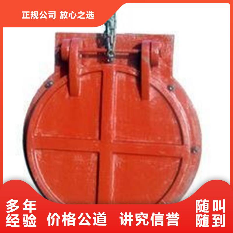 法兰式拍门大型生产厂家