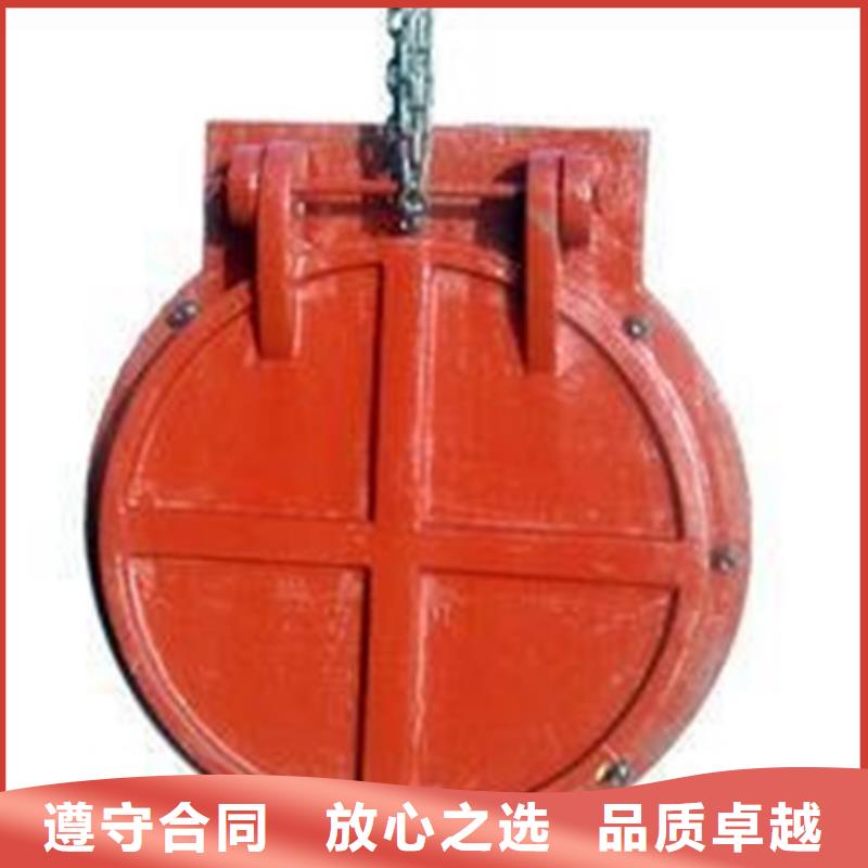 泵站拍门.浮箱式拍门