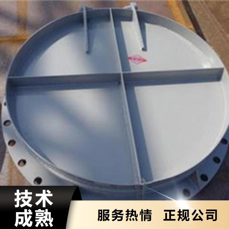 水利工程拍门产品实拍图