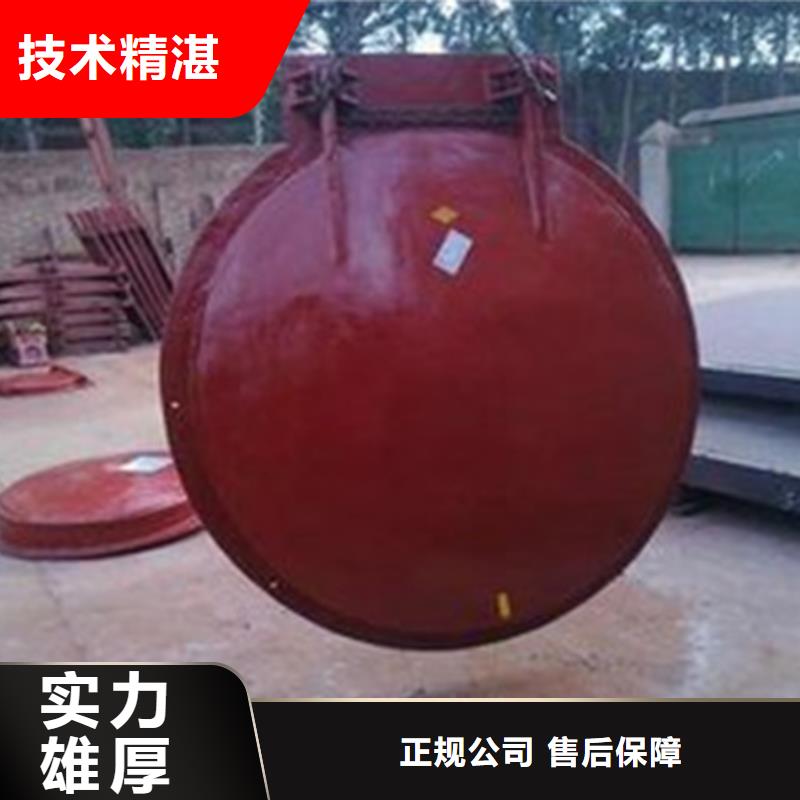 专业生产制造防倒灌拍门